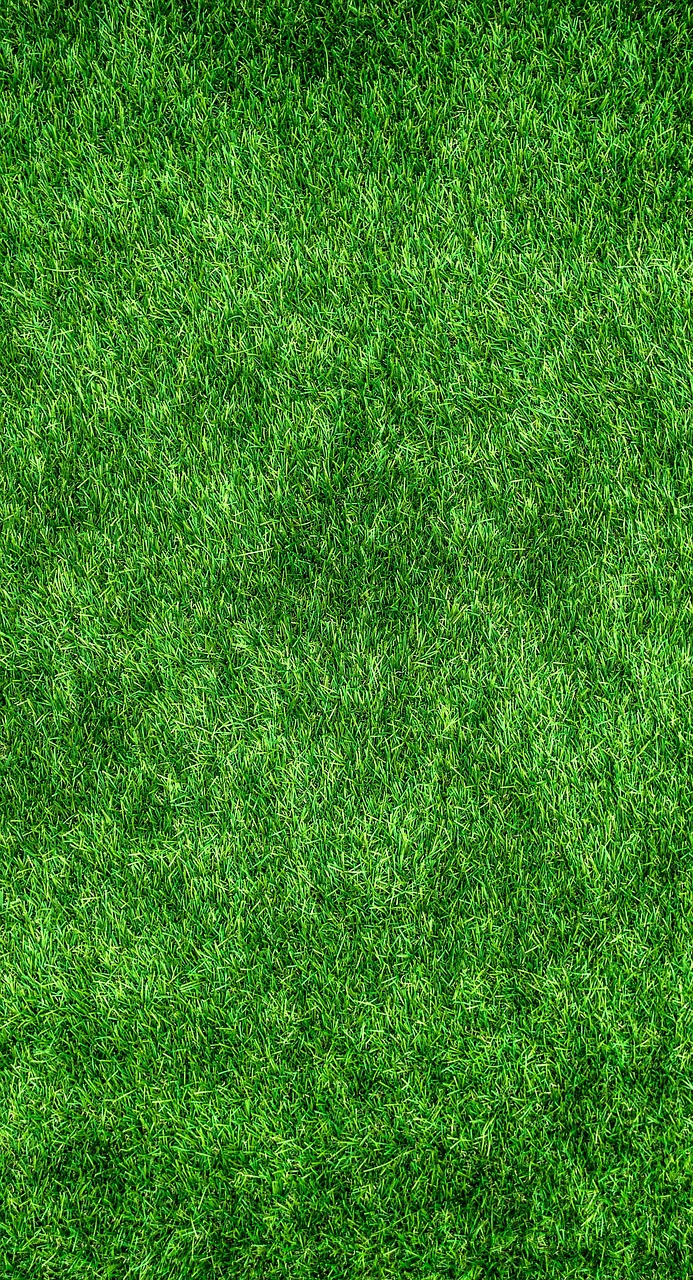 About grass, beautiful wallpaper, lawn, garden, park, ground, green, surface, texture, background, nature, iphone wallpaper