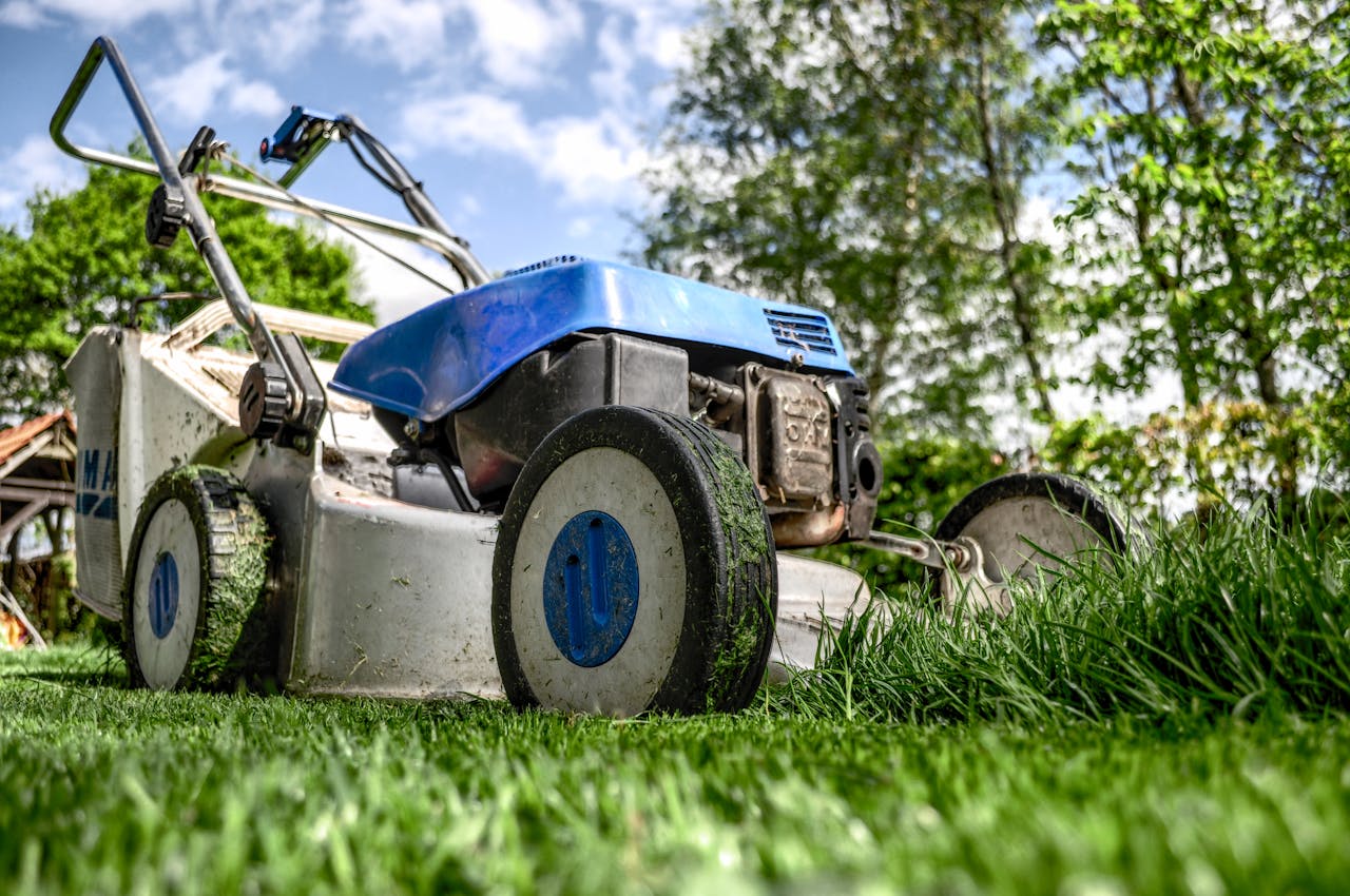 Services Close-up view of a lawn mower cutting grass in a garden on a sunny day.