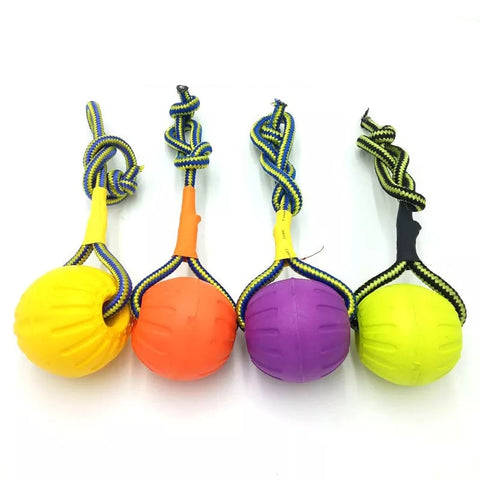 Funny puppy training ball chew toys