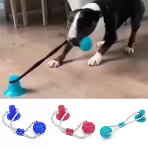 Dog Interactive Ball Toys