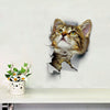 Newest Home Decor Cats 3D Wall Stickers Hole View Toilet Sticker Cat Home Decoration PVC Wall Decals Removable Art Wallpapers