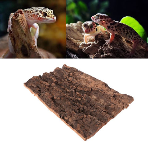 30x20cm Champagne Cork Bark Reptiles & Amphibians Habitat Decor Supplies